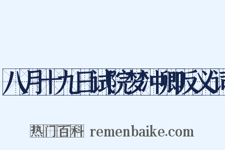 八月十九日试院梦冲卿反义词是什么意思的图片